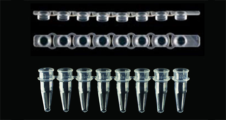 Пробирки для ПЦР, 0,2 мл, в стрипах по 8 штук с отдельными плоскими крышками, 120 шт/кор