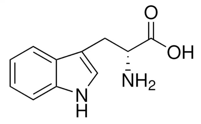 D-триптофан 98% (для биохимии) CAS 153-94-6
